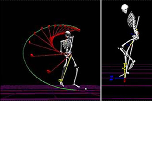The MotionMonitor®