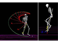 The MotionMonitor®