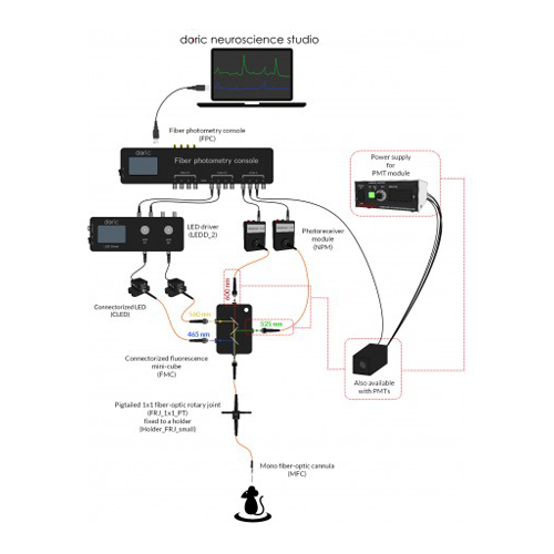 Fiber Photometry System - Single channel Two Colors - GFP + RFP